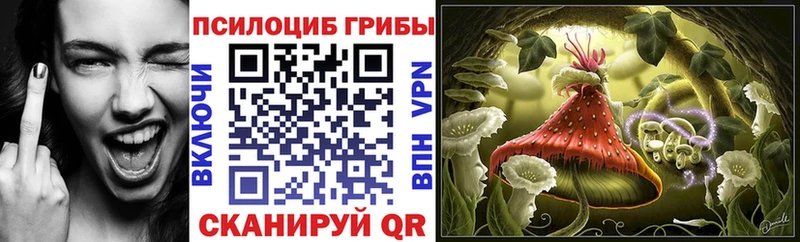 KRAKEN ССЫЛКА  Почеп  Галлюциногенные грибы прущие грибы 